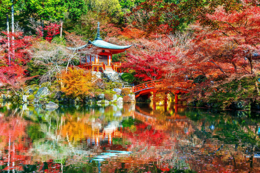 1543661 (a): :2560x1703
